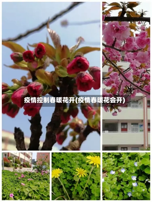 疫情控制春暖花开(疫情春暖花会开)