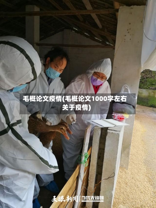 毛概论文疫情(毛概论文1000字左右关于疫情)-第2张图片