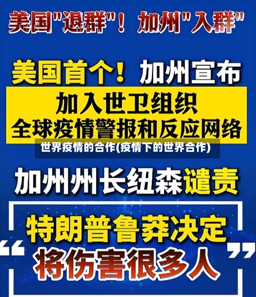 世界疫情的合作(疫情下的世界合作)
