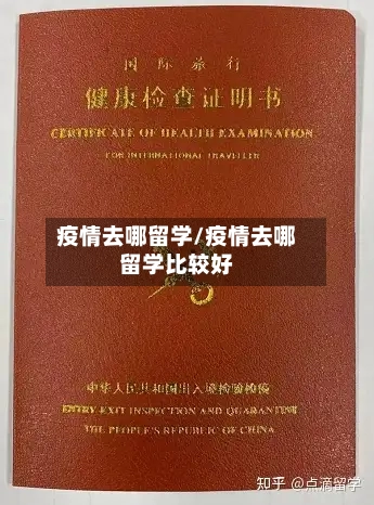 疫情去哪留学/疫情去哪留学比较好