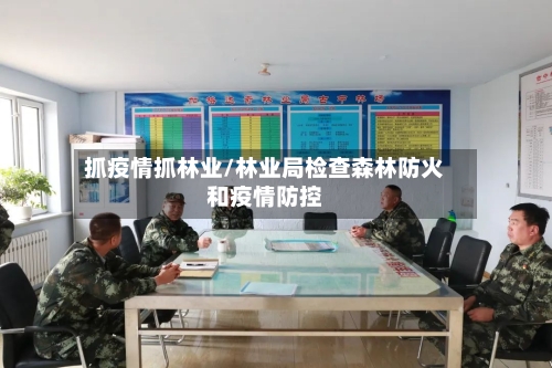抓疫情抓林业/林业局检查森林防火和疫情防控