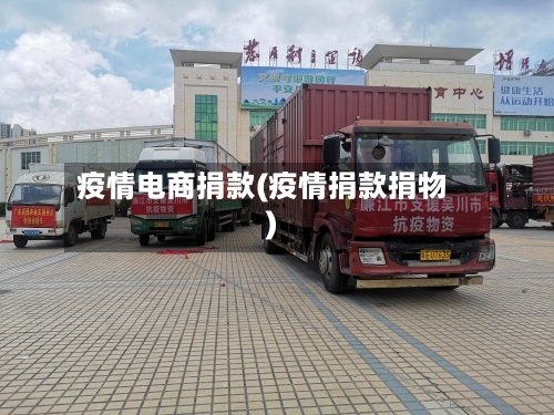 疫情电商捐款(疫情捐款捐物)