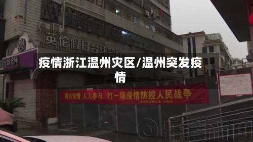 疫情浙江温州灾区/温州突发疫情