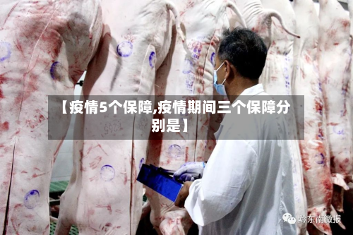 【疫情5个保障,疫情期间三个保障分别是】