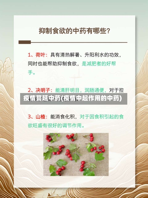 疫情蔓延中药(疫情中起作用的中药)-第3张图片