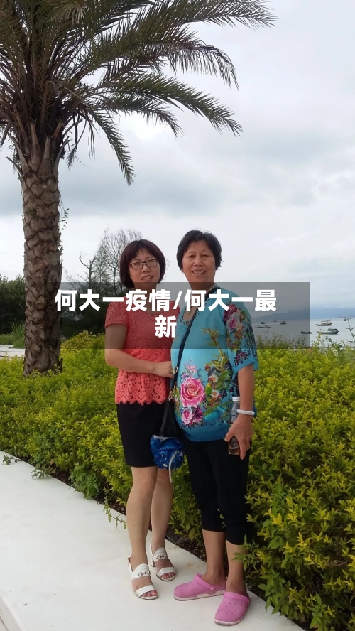 何大一疫情/何大一最新