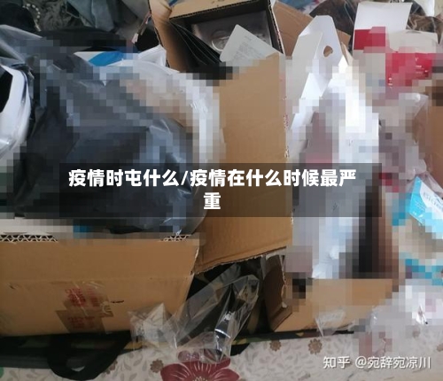 疫情时屯什么/疫情在什么时候最严重-第3张图片