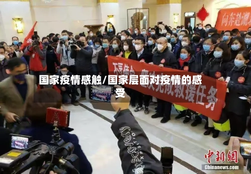 国家疫情感触/国家层面对疫情的感受
