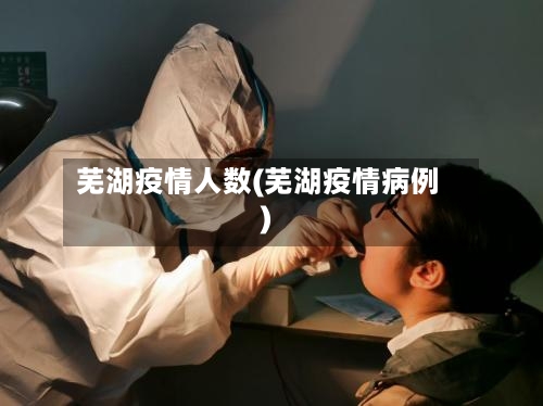 芜湖疫情人数(芜湖疫情病例)-第3张图片