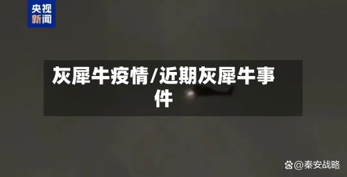 灰犀牛疫情/近期灰犀牛事件-第2张图片