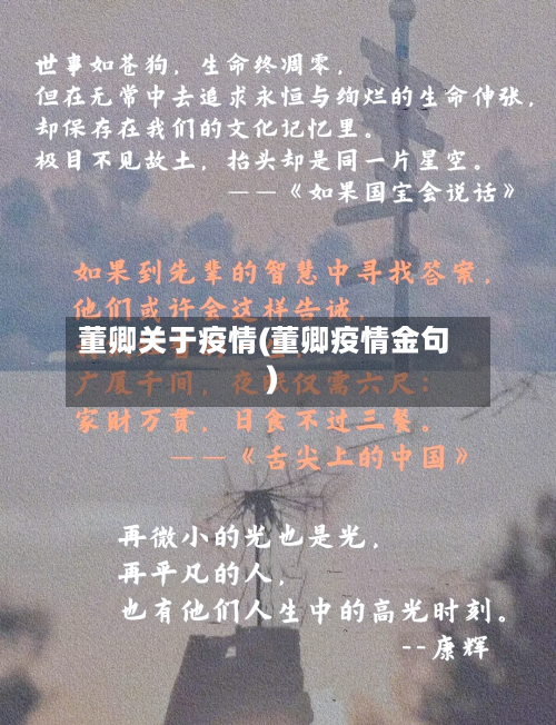 董卿关于疫情(董卿疫情金句)