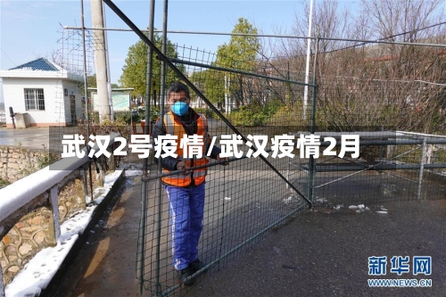 武汉2号疫情/武汉疫情2月