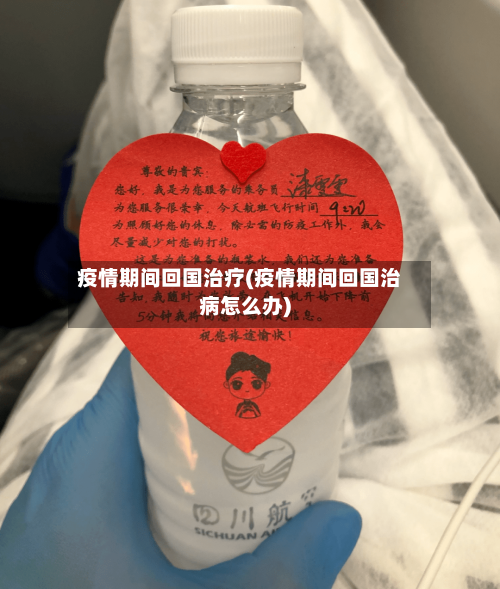 疫情期间回国治疗(疫情期间回国治病怎么办)