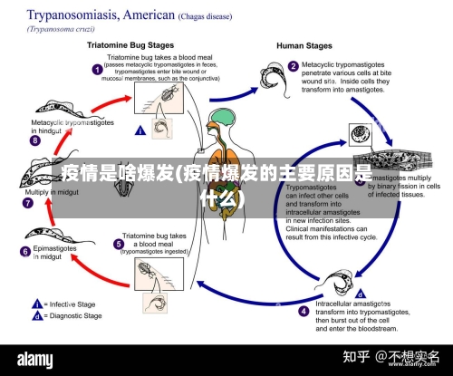 疫情是啥爆发(疫情爆发的主要原因是什么)-第2张图片