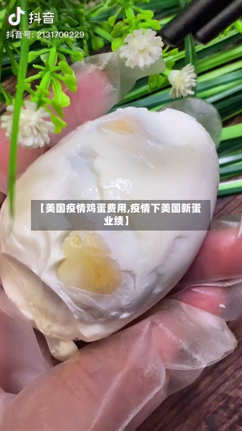 【美国疫情鸡蛋费用,疫情下美国新蛋业绩】-第2张图片