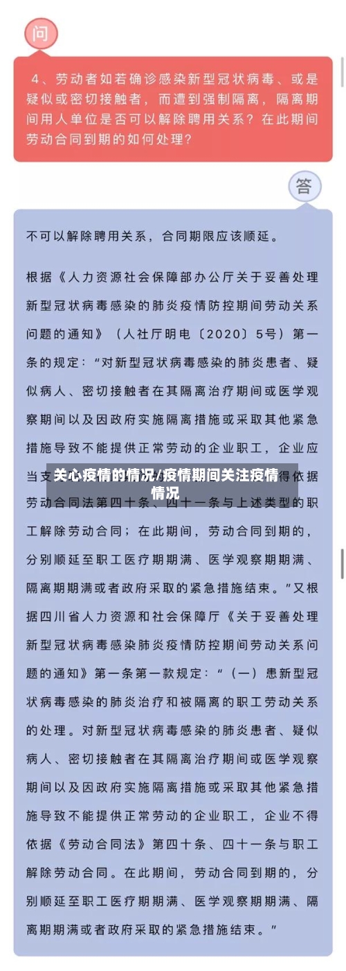 关心疫情的情况/疫情期间关注疫情情况