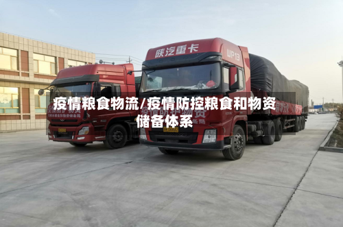 疫情粮食物流/疫情防控粮食和物资储备体系