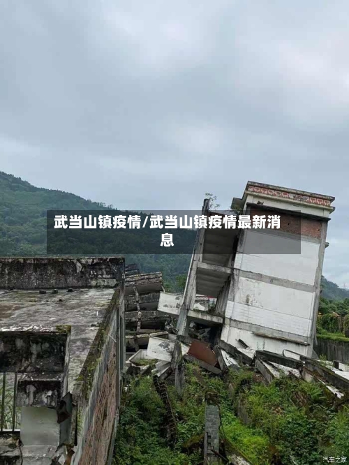 武当山镇疫情/武当山镇疫情最新消息