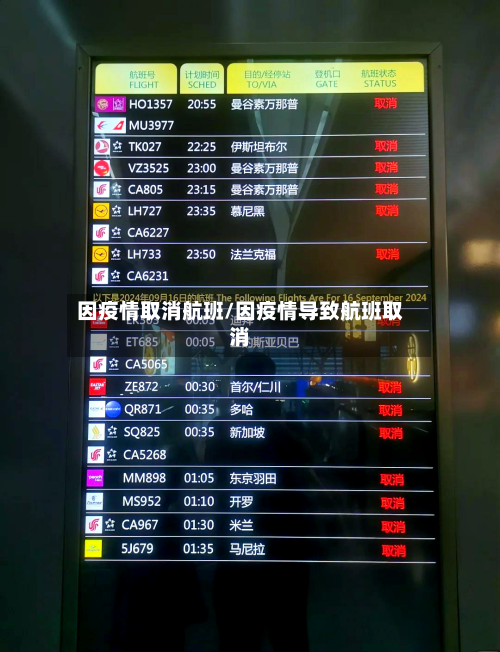 因疫情取消航班/因疫情导致航班取消