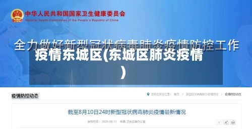 疫情东城区(东城区肺炎疫情)