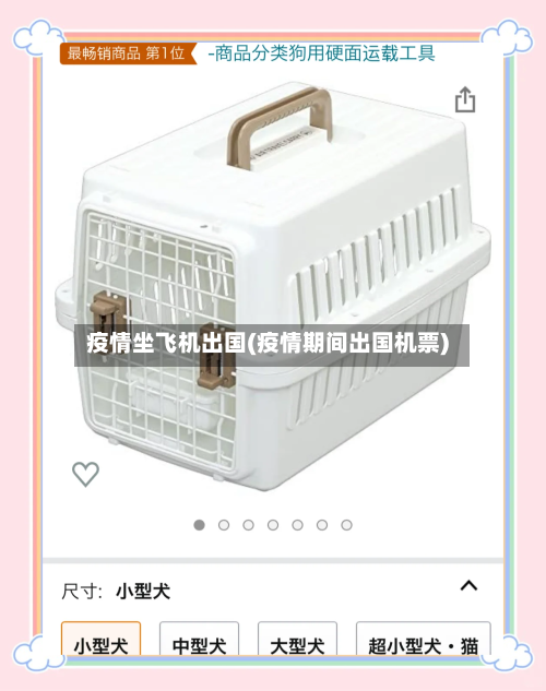 疫情坐飞机出国(疫情期间出国机票)