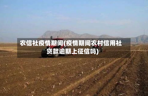 农信社疫情期间(疫情期间农村信用社贷款逾期上征信吗)