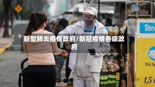 新型肺炎疫情政府/新冠疫情各级政府