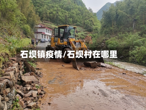 石坝镇疫情/石坝村在哪里