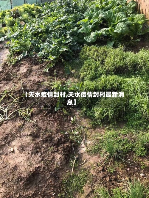 【天水疫情封村,天水疫情封村最新消息】