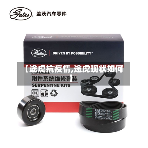 【途虎抗疫情,途虎现状如何】