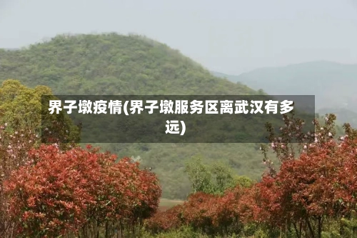 界子墩疫情(界子墩服务区离武汉有多远)-第2张图片