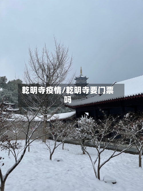 乾明寺疫情/乾明寺要门票吗-第2张图片