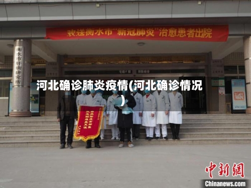 河北确诊肺炎疫情(河北确诊情况)-第3张图片