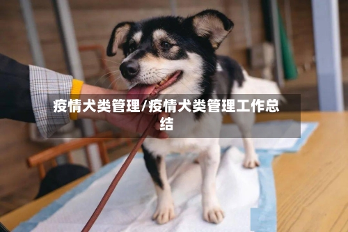 疫情犬类管理/疫情犬类管理工作总结