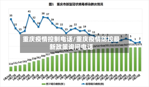 重庆疫情控制电话/重庆疫情防控最新政策询问电话-第2张图片