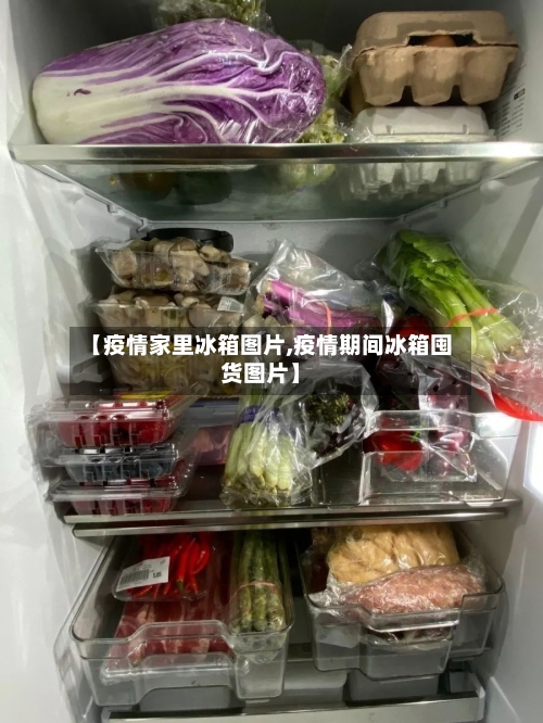 【疫情家里冰箱图片,疫情期间冰箱囤货图片】-第2张图片