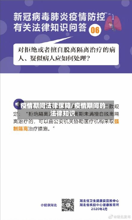 疫情期间法律保障/疫情期间的法律知识-第2张图片