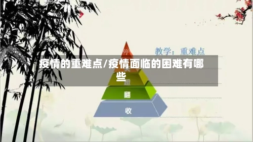 疫情的重难点/疫情面临的困难有哪些