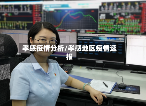 孝感疫情分析/孝感地区疫情速报-第3张图片