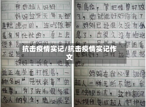 抗击疫情实记/抗击疫情实记作文-第2张图片