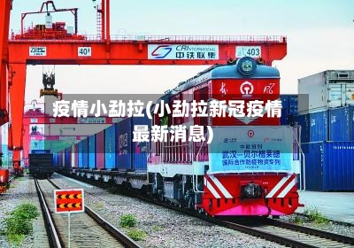疫情小勐拉(小勐拉新冠疫情最新消息)-第2张图片