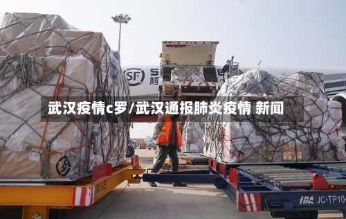 武汉疫情c罗/武汉通报肺炎疫情 新闻