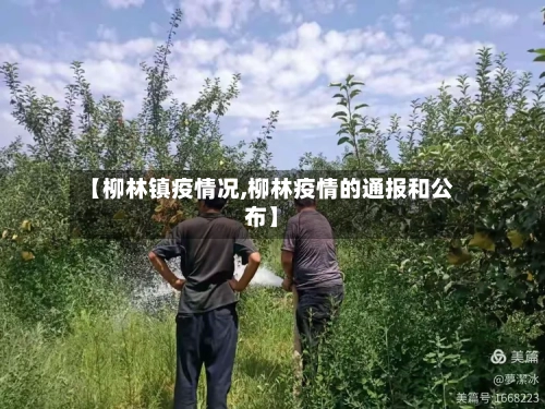 【柳林镇疫情况,柳林疫情的通报和公布】-第2张图片