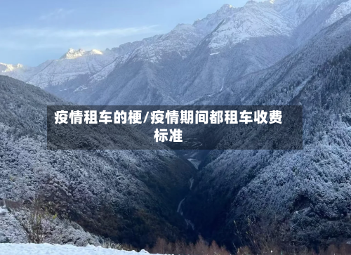 疫情租车的梗/疫情期间都租车收费标准-第2张图片