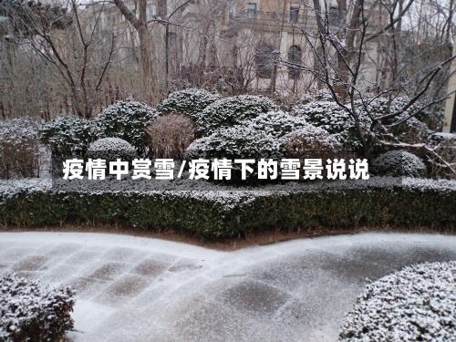 疫情中赏雪/疫情下的雪景说说