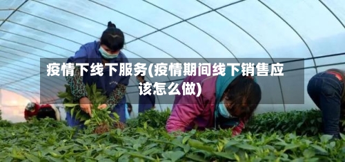 疫情下线下服务(疫情期间线下销售应该怎么做)-第3张图片