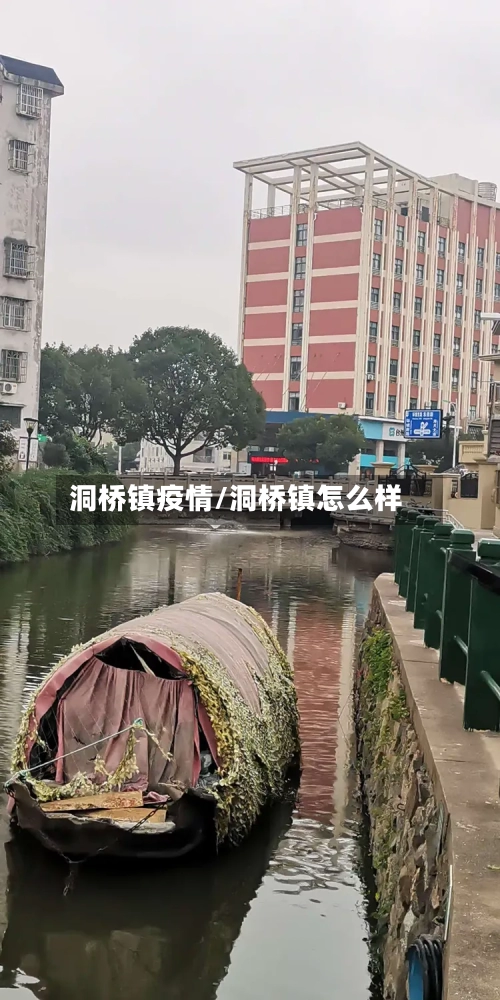 洞桥镇疫情/洞桥镇怎么样