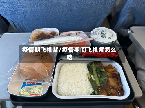 疫情期飞机餐/疫情期间飞机餐怎么吃-第2张图片