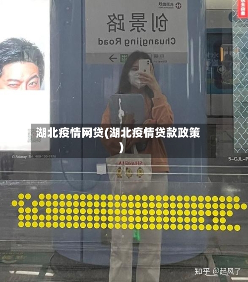 湖北疫情网贷(湖北疫情贷款政策)-第3张图片
