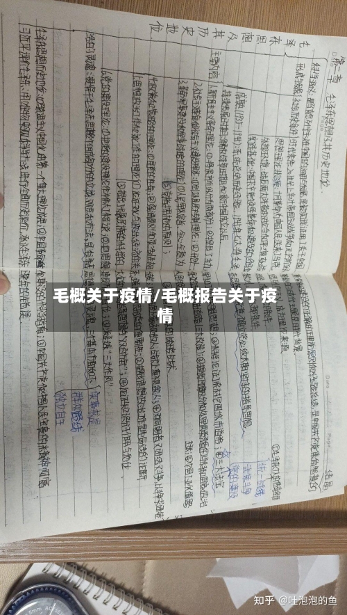 毛概关于疫情/毛概报告关于疫情-第2张图片